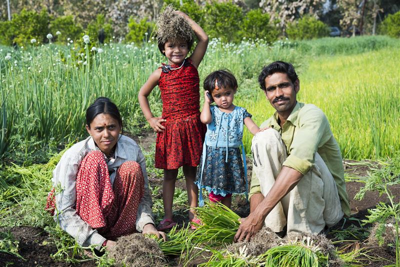 Admin Dashboard View